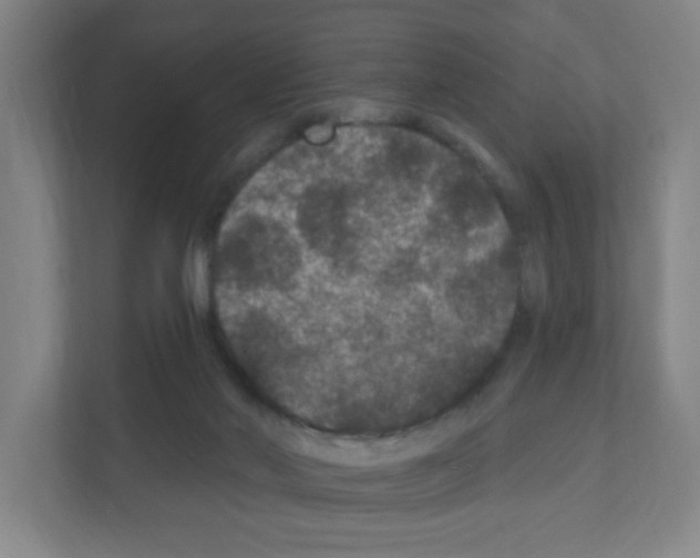 X0000111160022200908111203