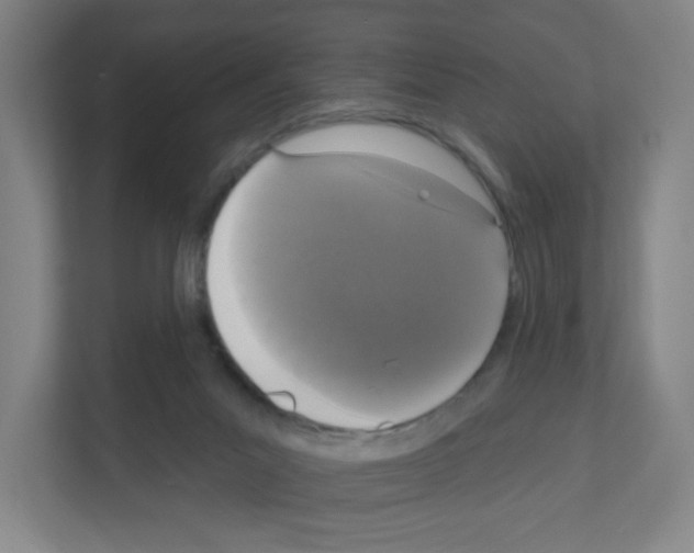 X0000111160023200908111203