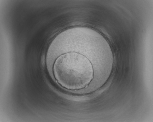 X0000111160024200908111203