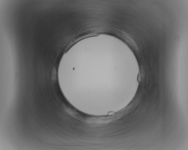 X0000111160025200908111203