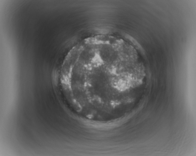 X0000111160026200908111203
