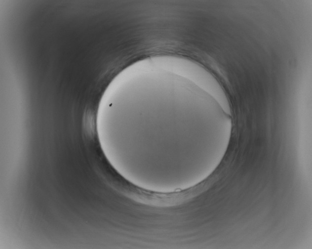 X0000111160027200908111203