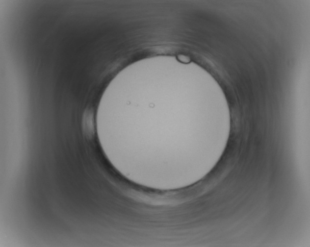 X0000111160028200908111203