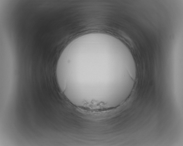X0000111160029200908111203
