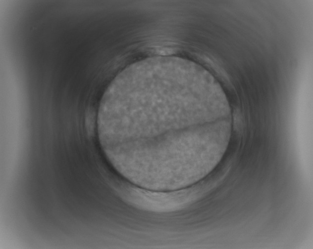 X0000111160030200908111203