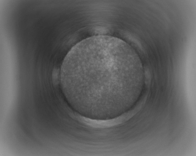 X0000111160034200908111203