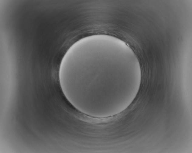 X0000111160035200908111203
