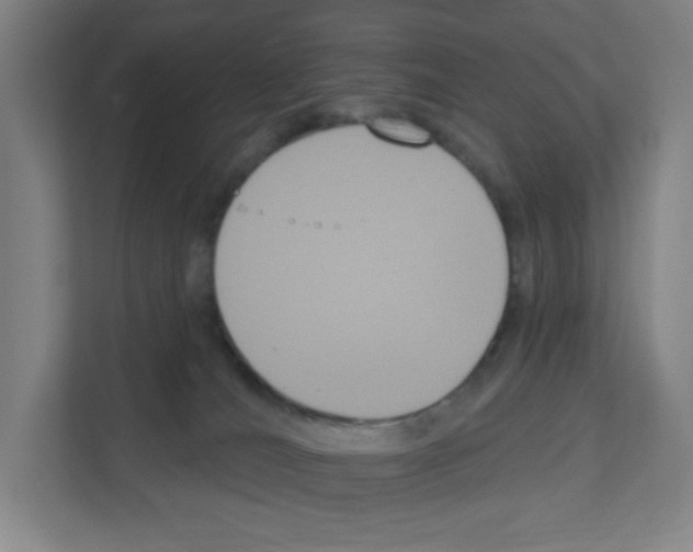 X0000111160036200908111203