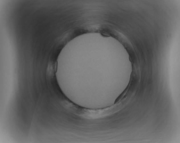 X0000111160037200908111203