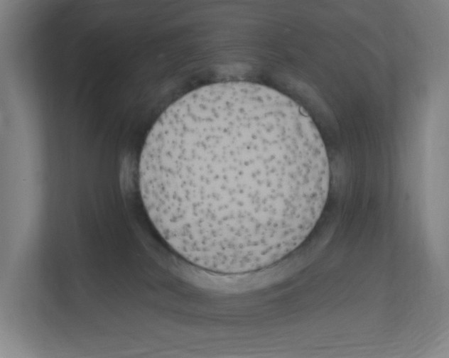 X0000111160038200908111203