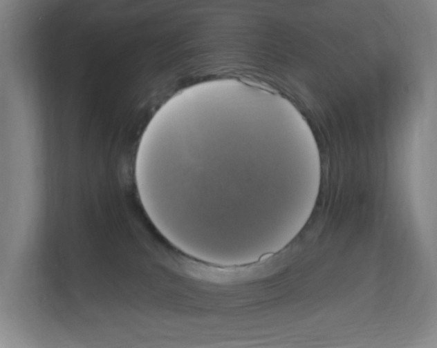 X0000111160039200908111203