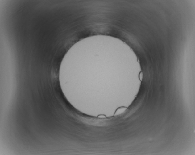 X0000111160040200908111203