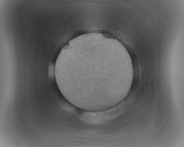 X0000111160041200908111203