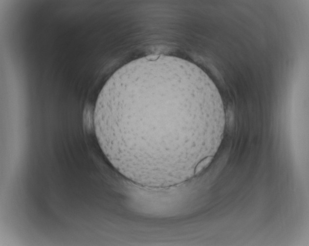 X0000111160042200908111203