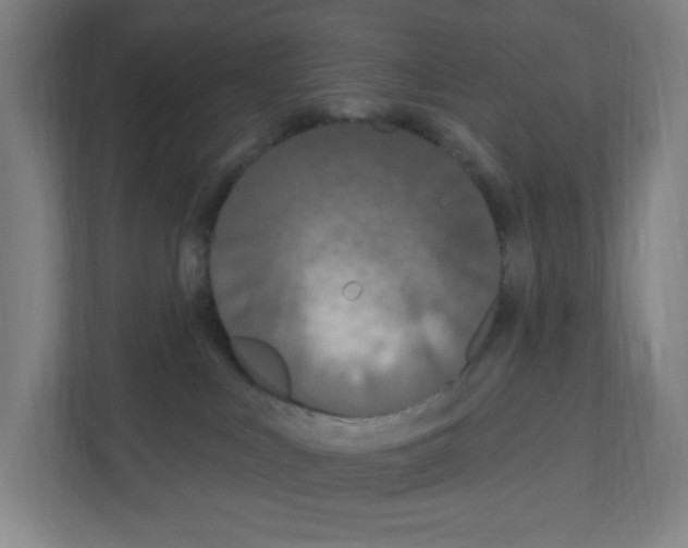 X0000111160043200908111203