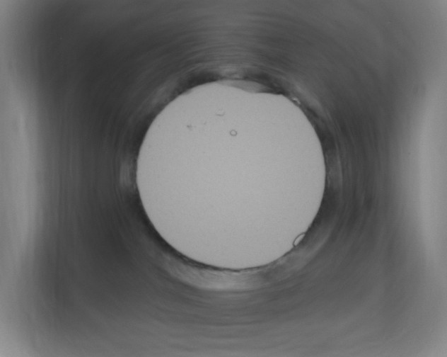 X0000111160044200908111203