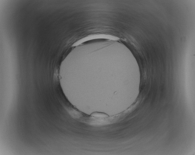 X0000111160045200908111203