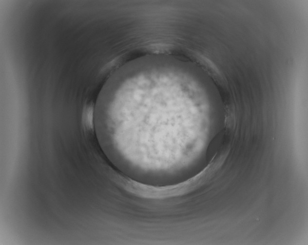 X0000111160047200908111203
