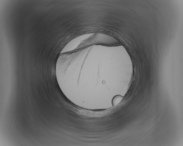 X0000111160048200908111203