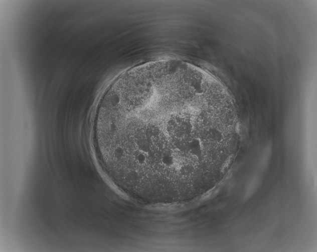 X0000111160049200908111202