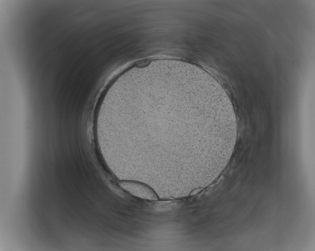X0000111160050200908111202