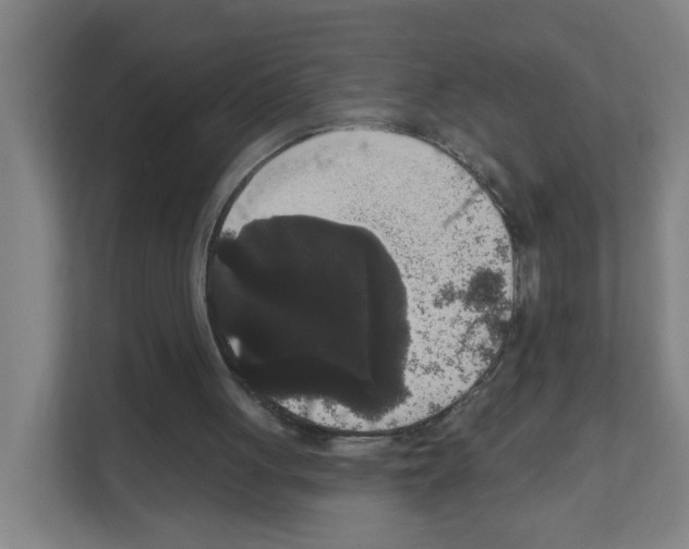 X0000111160051200908111202