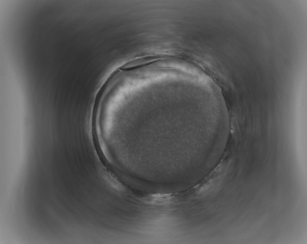 X0000111160052200908111202