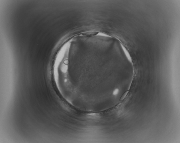 X0000111160053200908111202
