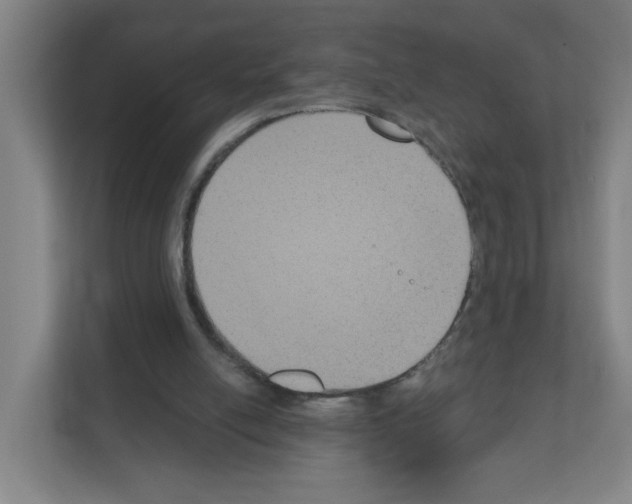 X0000111160054200908111202