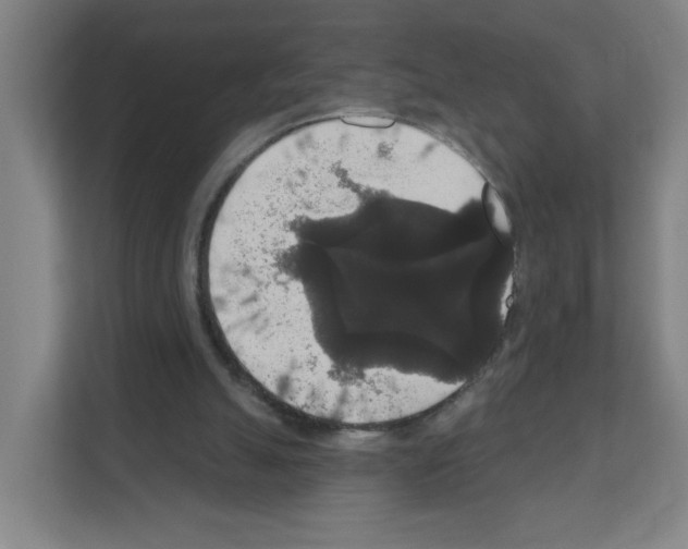 X0000111160055200908111202