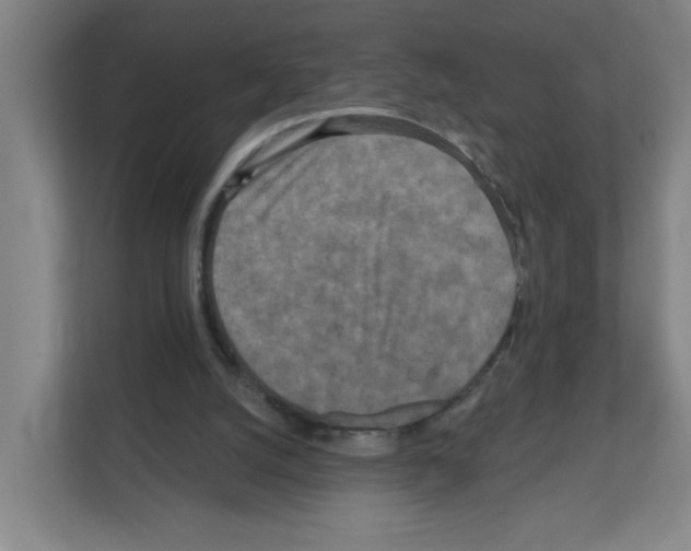 X0000111160056200908111202