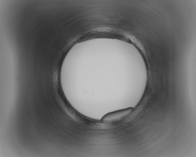 X0000111160057200908111202