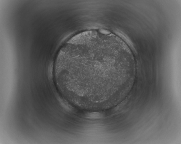 X0000111160058200908111202