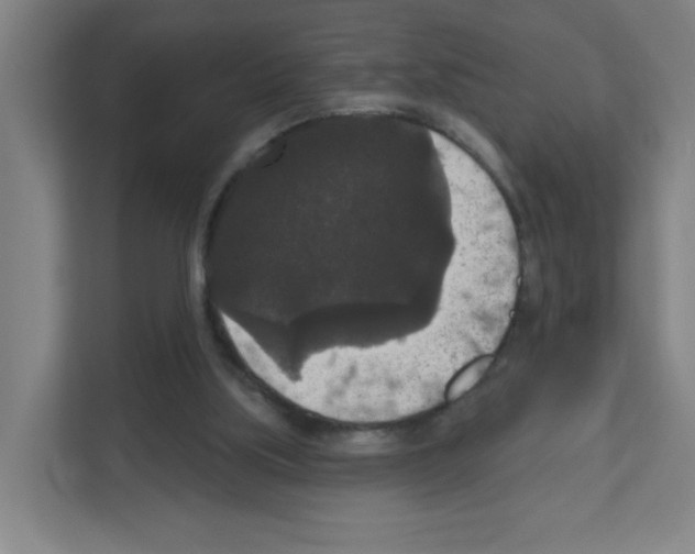 X0000111160059200908111202