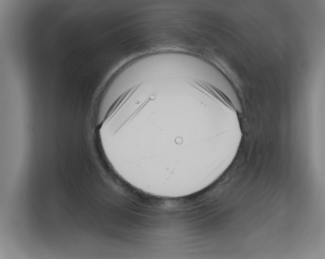 X0000111160060200908111202