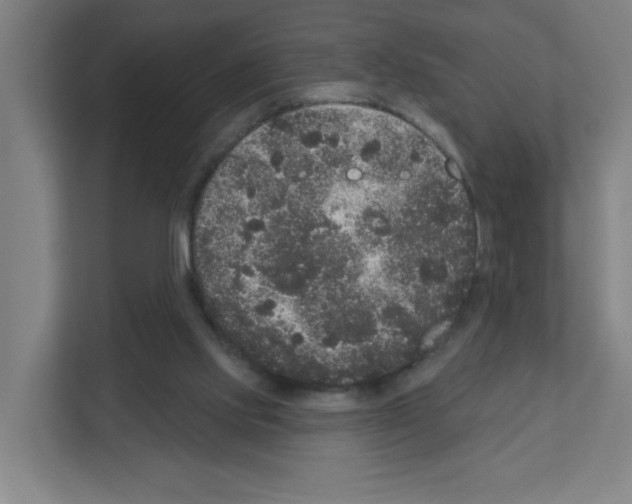 X0000111160061200908111202
