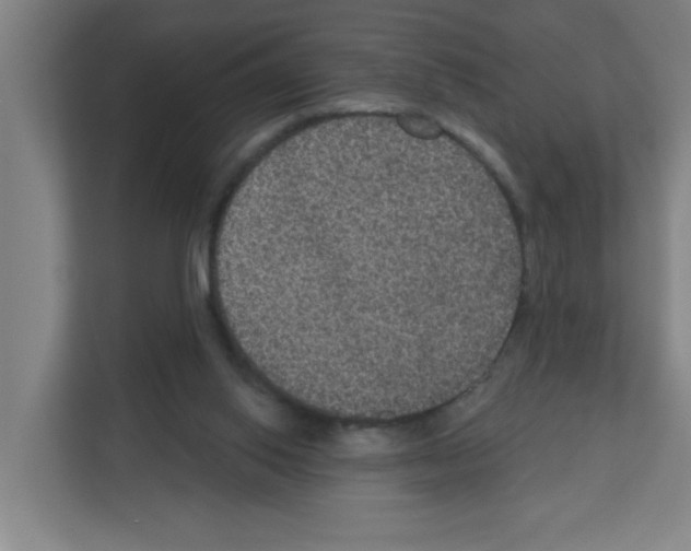 X0000111160062200908111202