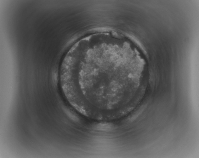 X0000111160063200908111202