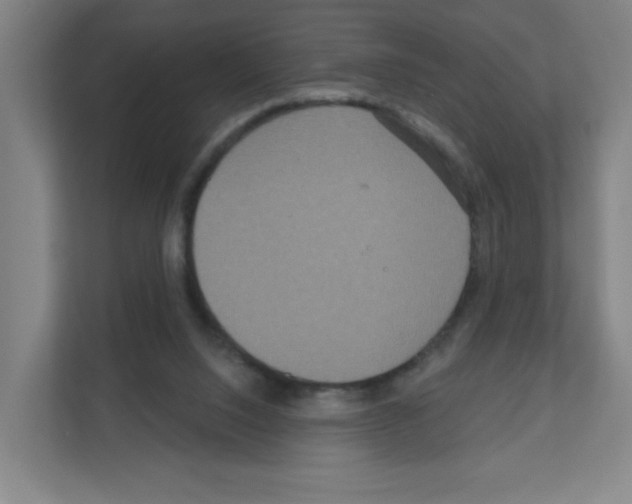 X0000111160064200908111202