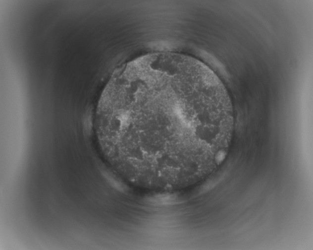 X0000111160065200908111202