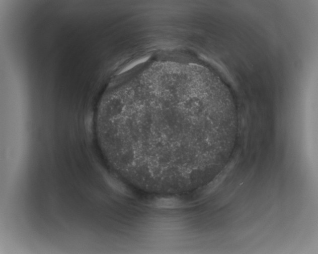 X0000111160066200908111202