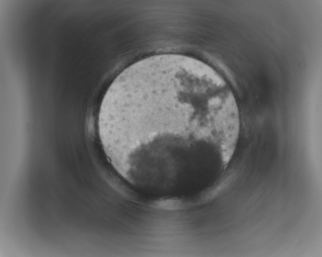 X0000111160067200908111202