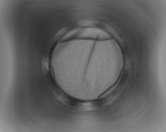 X0000111160068200908111202