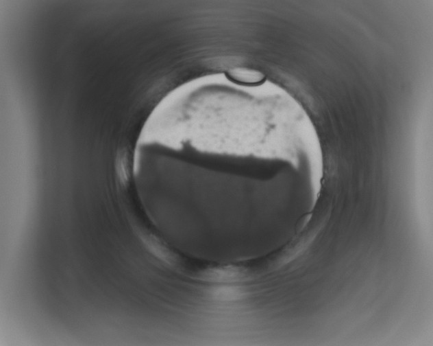 X0000111160069200908111202