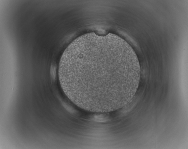 X0000111160070200908111202
