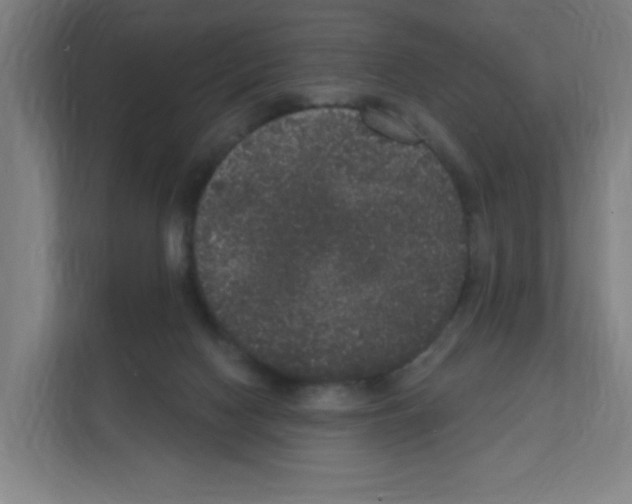 X0000111160074200908111202