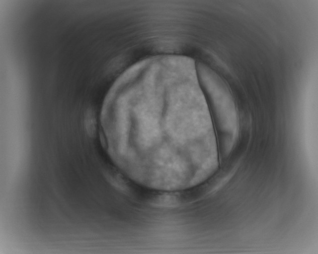 X0000111160080200908111202