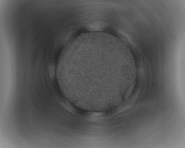 X0000111160081200908111202