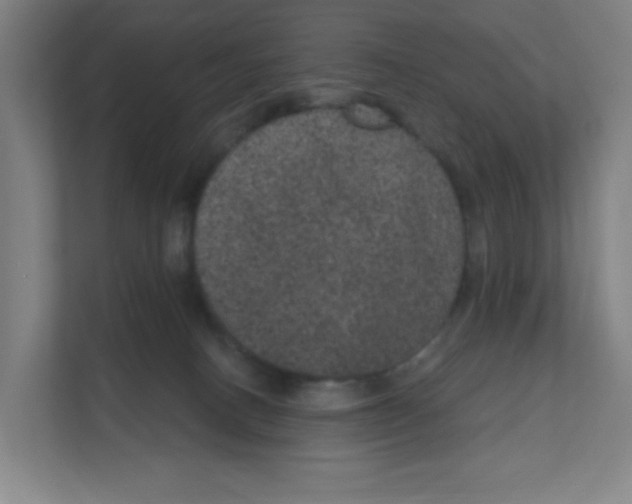 X0000111160082200908111202