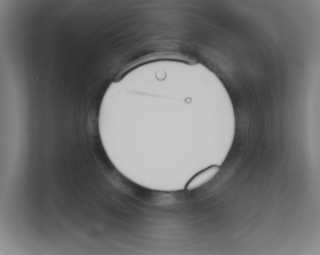 X0000111160083200908111202
